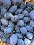 Prune Stanley de vânzare
