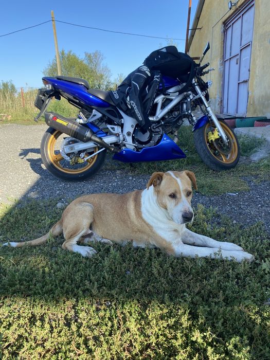 Vând Suzuki SV 650