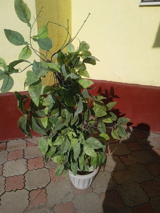 Дерева исткуственная