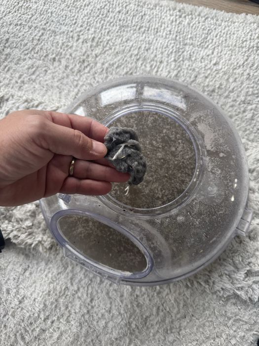 Inchiriez aspirator Rainbow