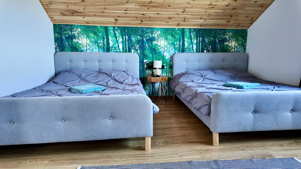 Cabana Brad Apuseni - Villa