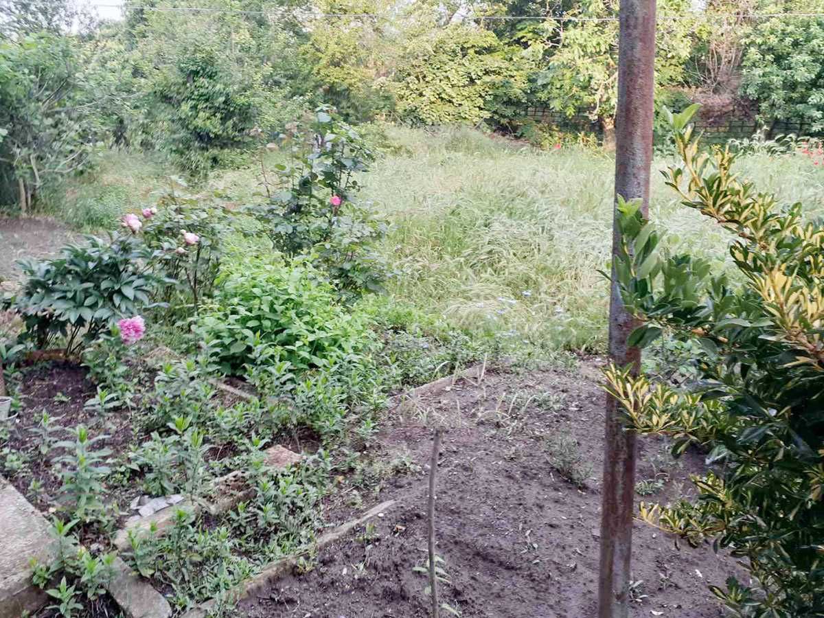 Продава се Парцел в с. Страшимирово, Област Варна - 3000 кв.м за 20 €/кв.м - Снимка #3