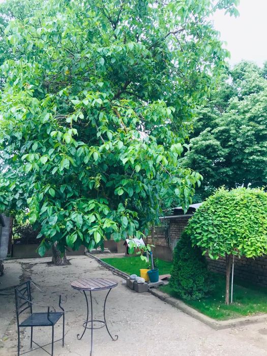 Casă de vânzare in Peciu Nou, la 17 km de Timișoara