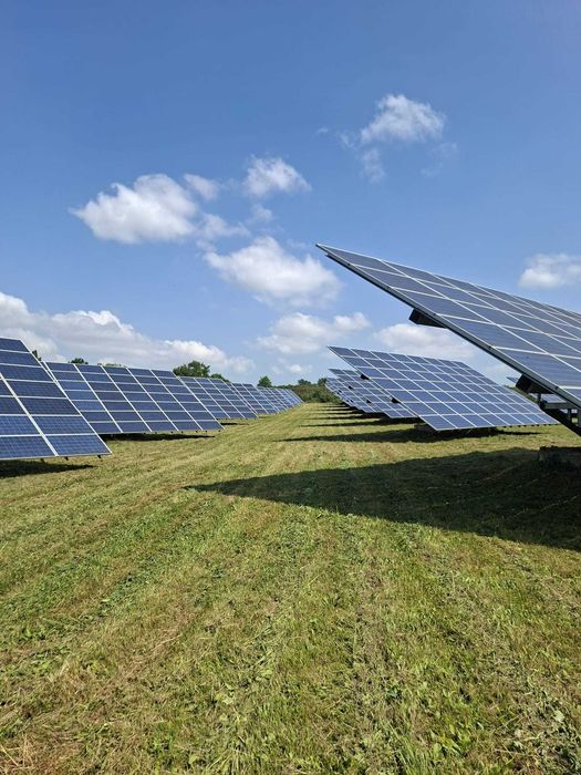 Поддръжка на зелени площи