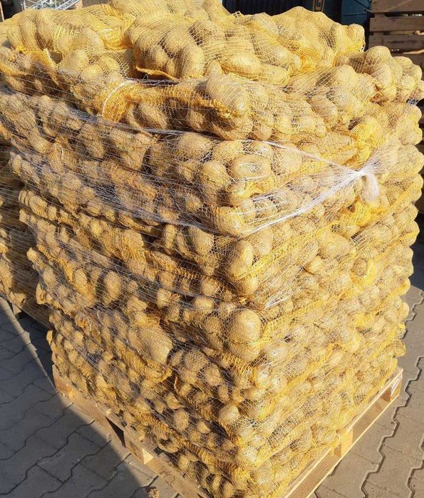 Vand cartofi consum,calibru 60+