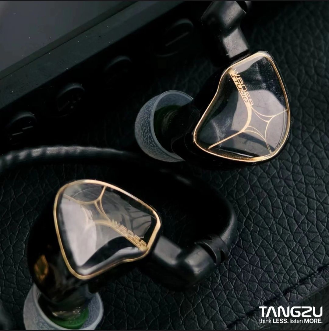 Мониторинг IEM Waner Studio Edition
