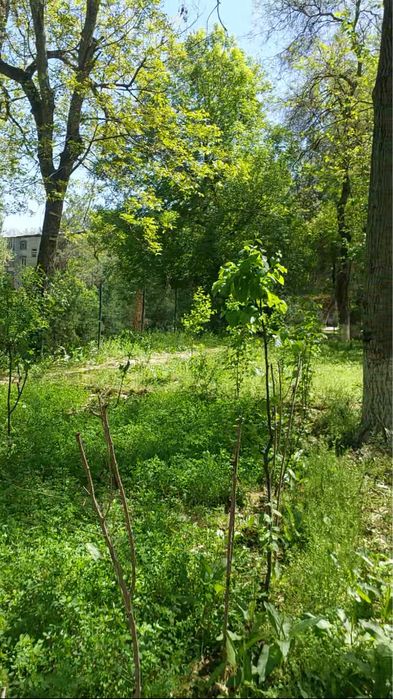 м. БИЙ, Земля 27 соток, Никитина!