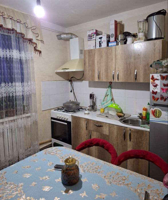 Kotej sotiladi 2sotix