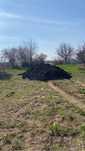 Pamant negru gradina / gazon