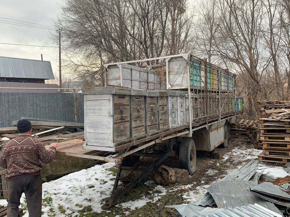 Продам пчёла прицеп