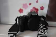 Canon 250d / Obiectiv Sigma 17-70 f2.8