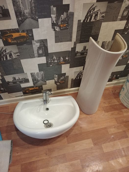 Отдам раковину тюльпан