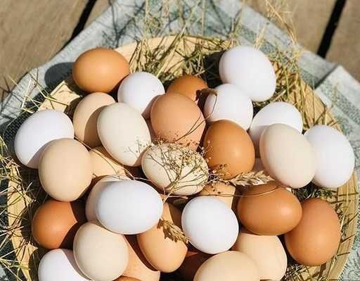 Домашние яйца от черных куриц