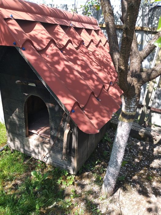 Căsuța pentru câini (animalute de companie)