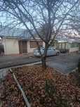 Vand casa sat Budesti,comuna Cotesti