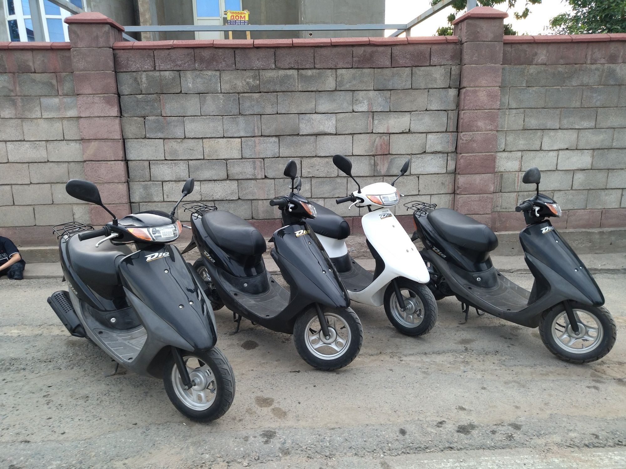 Honda dio свежие