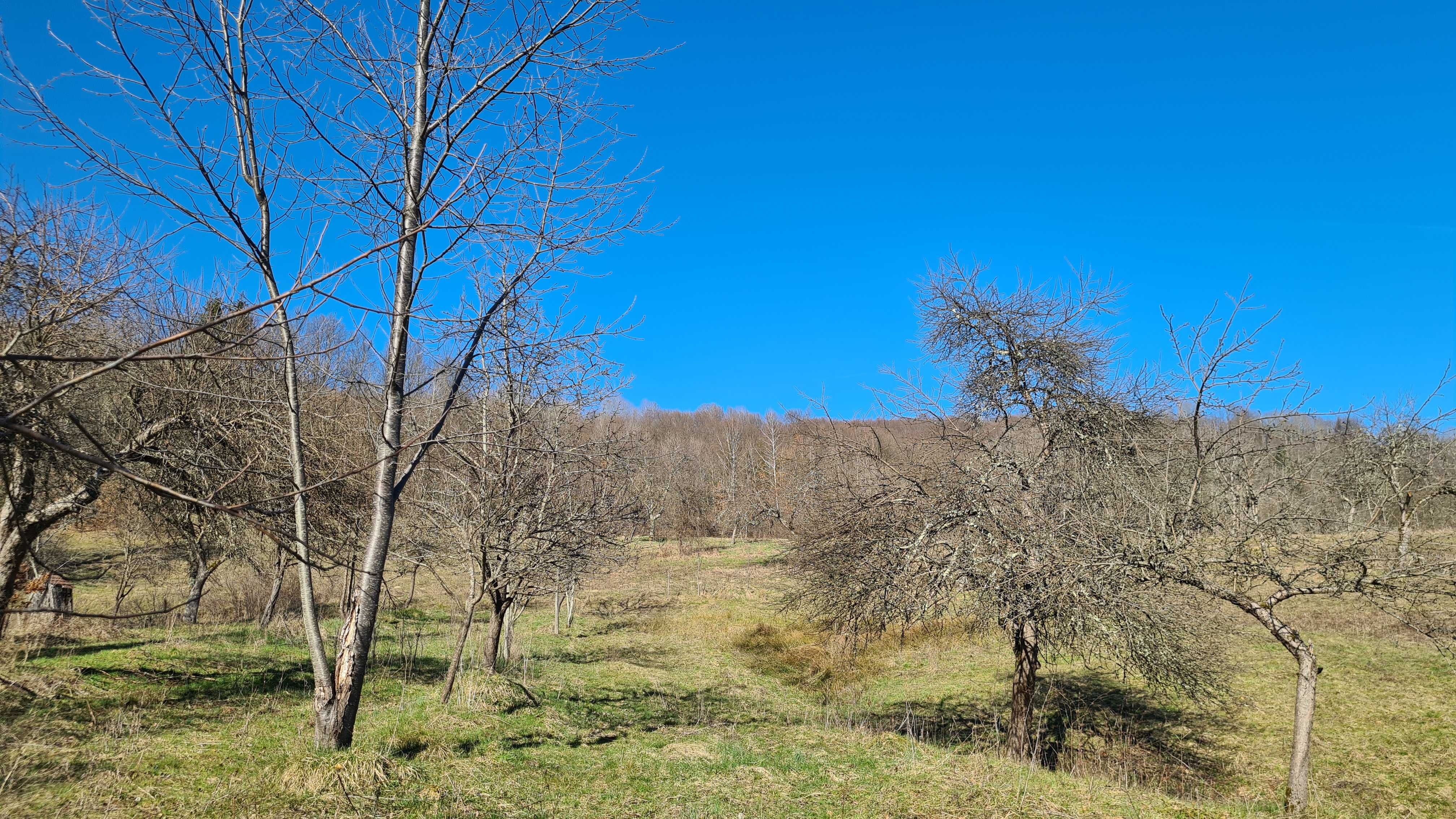 Teren intravilan 10 000 mp -panoramă superbă, Vârfurile, jud. Arad