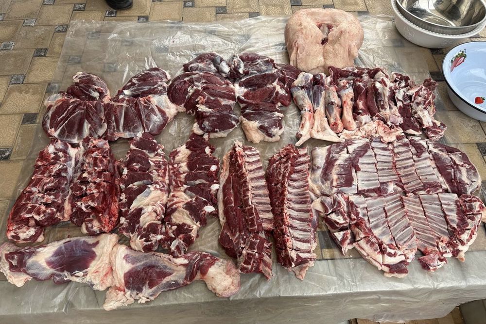 Qoy Soyish Xizmati !!! Куй сойиш Хизмати Tilla Qassop !!!