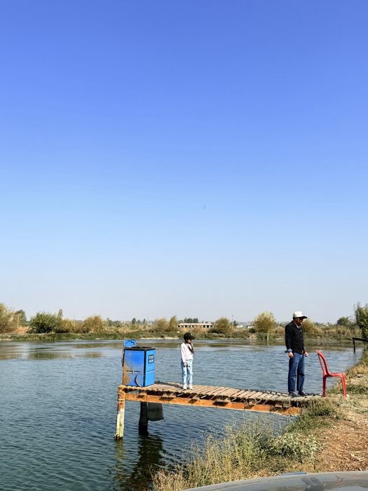 Ташморе. Вдоль реки 4 гектара