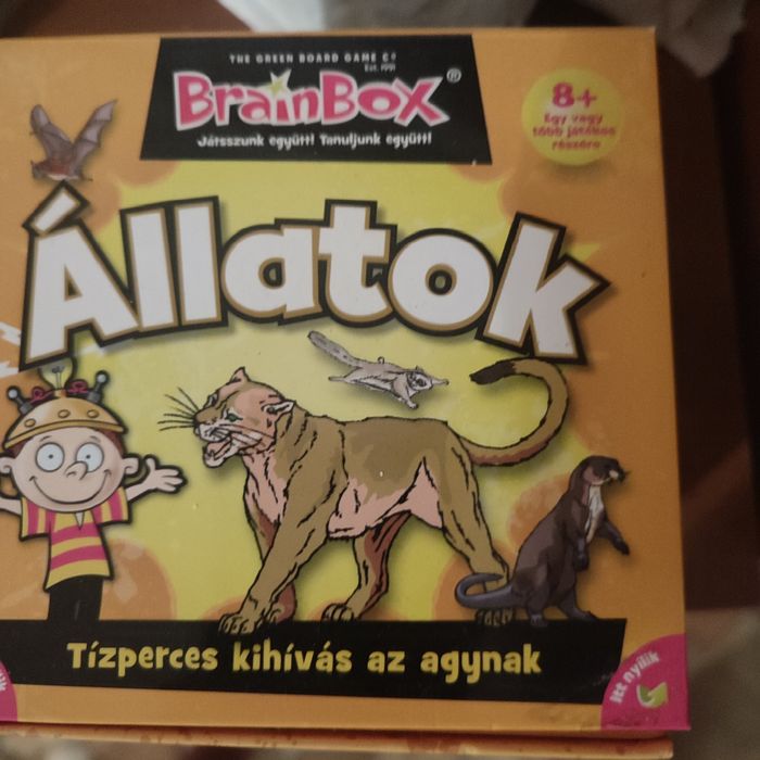 Brainbox joc educativ in lb maghiară
