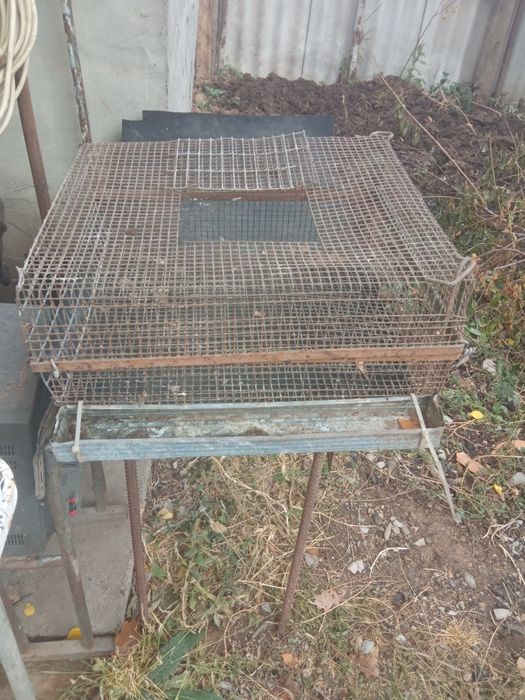 Клетка для перепелов