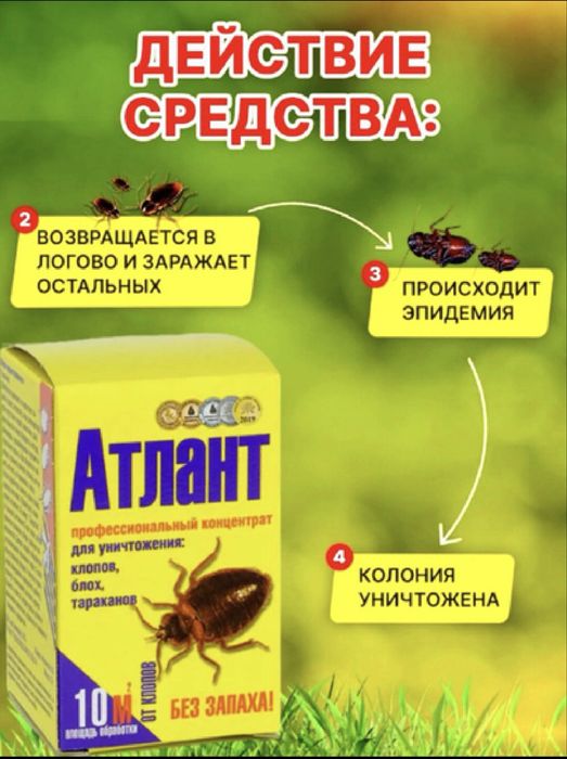 Атлант -от клопов тараканов и других насекомых