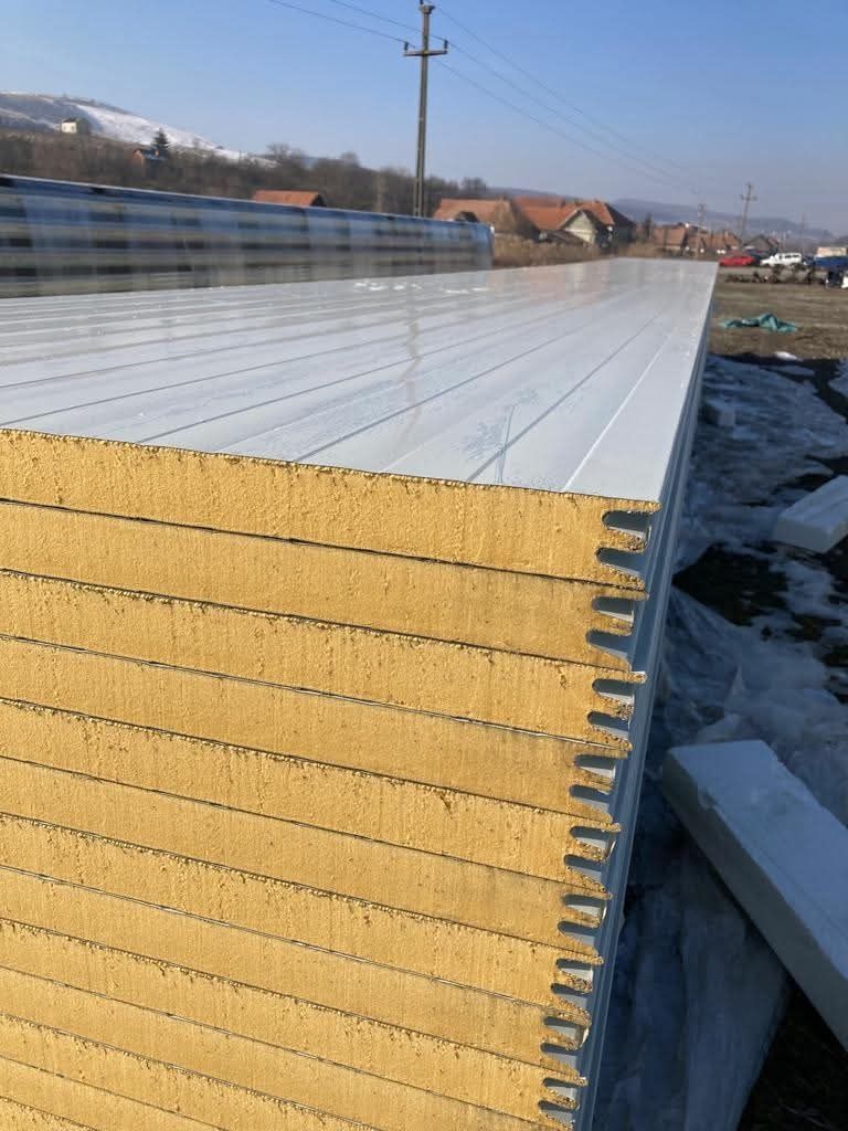 Vindem panou senws și structur metalice fără avansa
