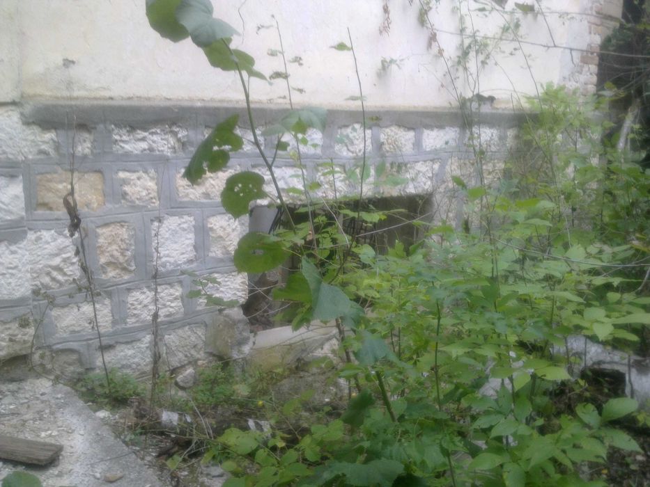 Продава се Парцел в Добрич, Добротица - Варненска - 11000 кв.м за 6 €/кв.м - Снимка #6