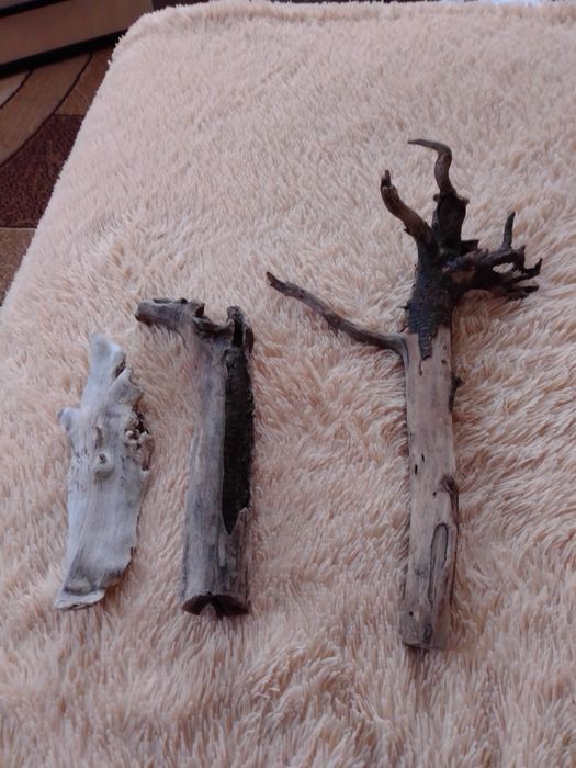 Продам коряги для тритонов и черепах.