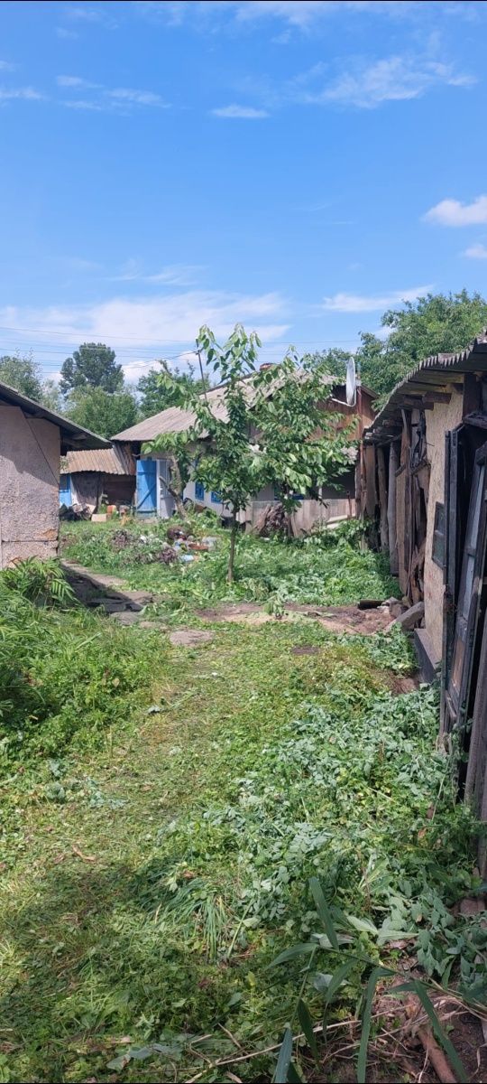 Gospodărie lângă lac la 10 min. de Dorohoi - casă + 5000 mp teren