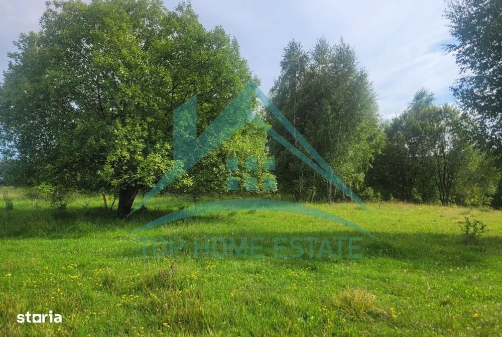 Teren pentru cabana/pensiune zona Lac Micesti!