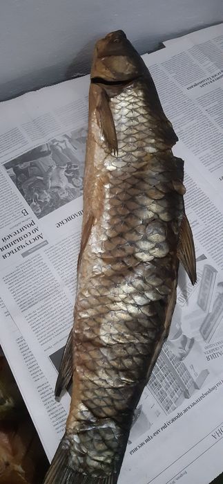 Капченный балыктар