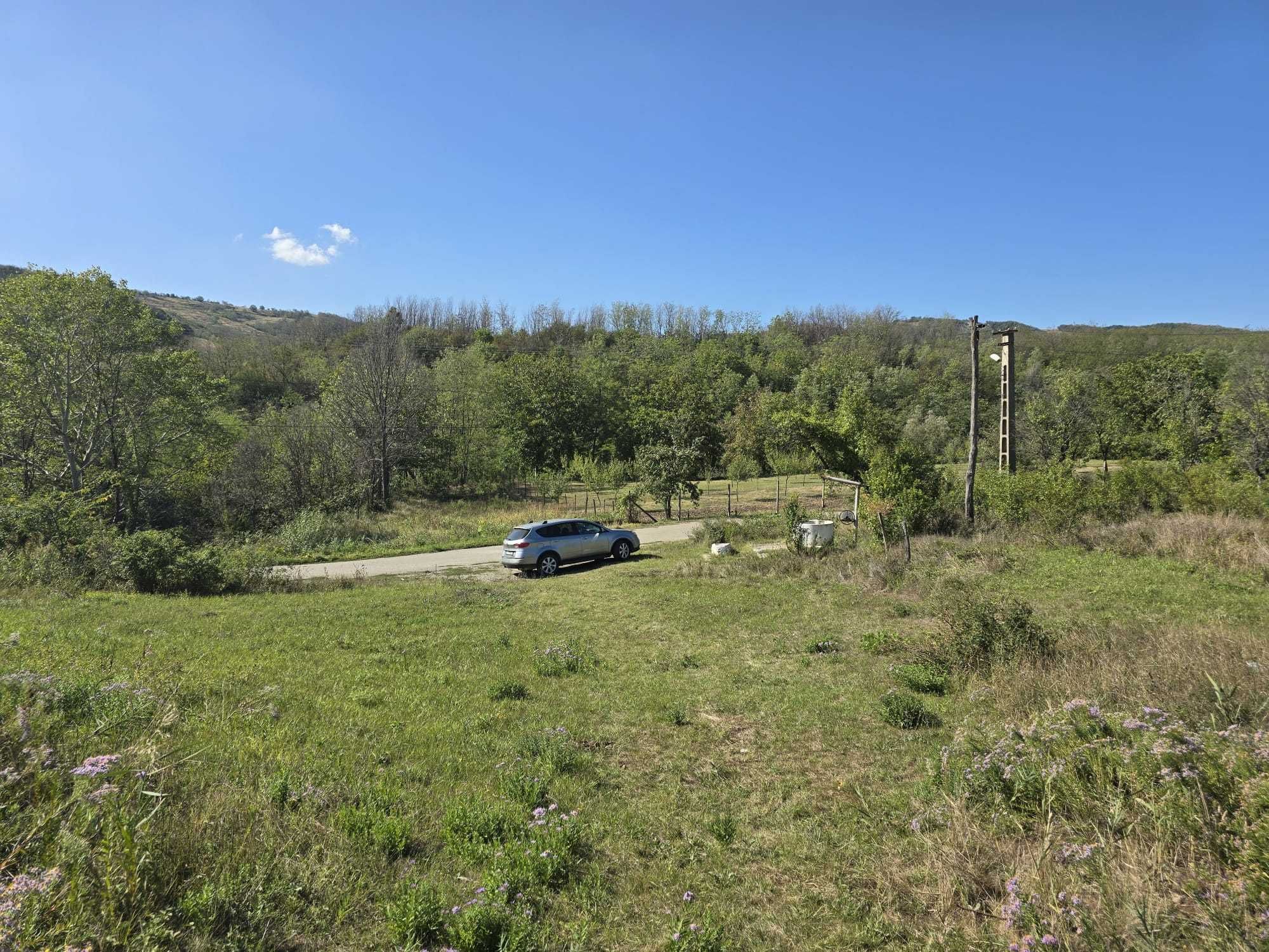 Teren intravilan 5.000 mp zona viticola Dealu Mare, 1 ora de Bucuresti