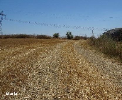 Teren extravilan Cernavoda, ID: R2755634