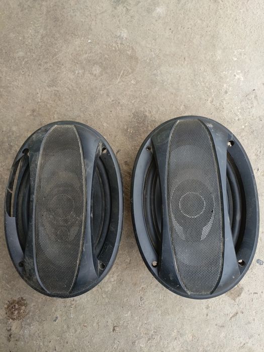 Kalonka qovun pioneer