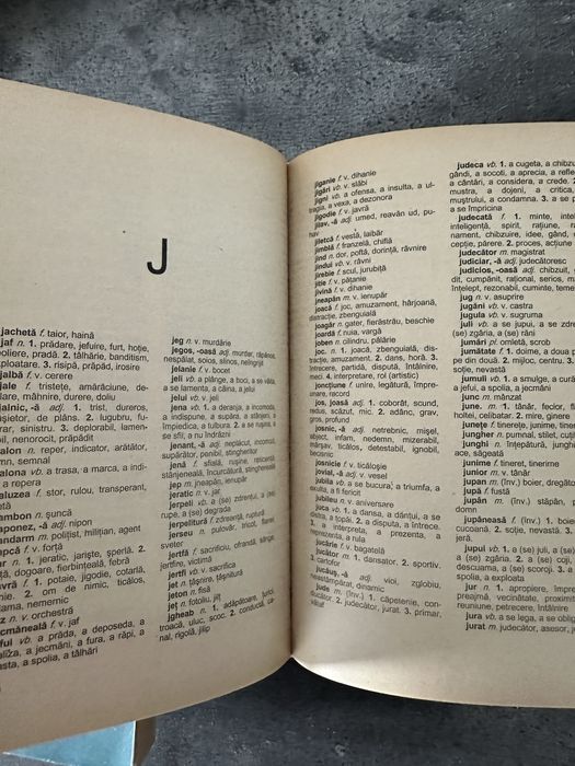 Dictionar sinonime neologisme explicativ