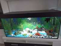 Acvariu pesti eheim 1200x500x500