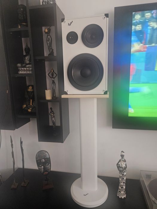 Amplificator si boxe