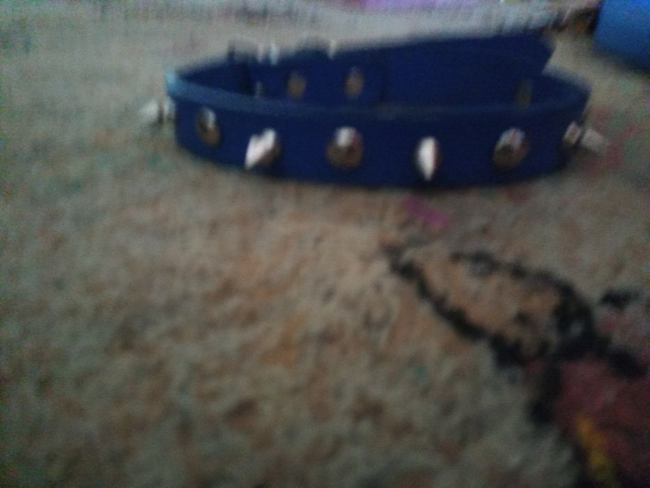 Zgărzii pântru câini medii