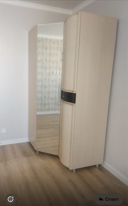 Шкаф угловой ,  С зеркалом, полки для одежды, место для костюмов, плат