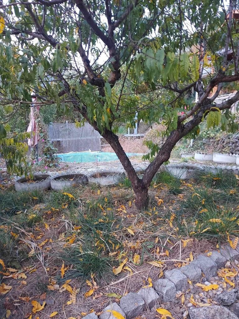 Продава се Къща в Шумен, м-т Чашка - 524 кв.м за 137 €/кв.м - Снимка #6