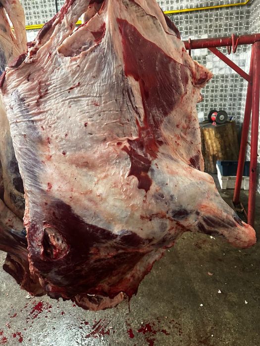 Мясо говядины баранины и конины