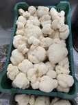 Concentrat din ciuperca Coama leului (Hericium erinaceus)