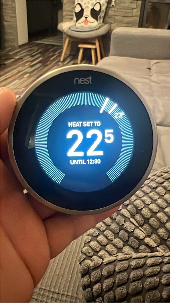 Termostat inteligent Nest