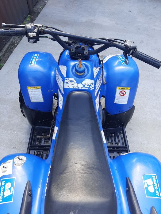 ATV aeon cobra 110