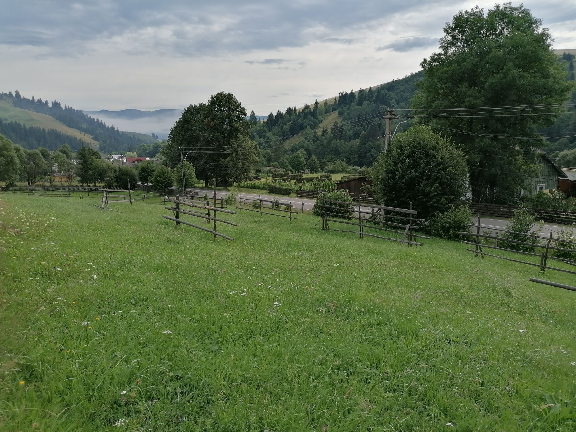 Teren intravilan în Bucovina Paltinu