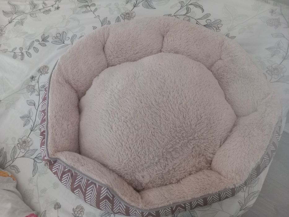 Vând patut căței nou