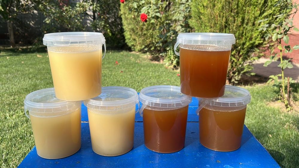 Натуральный мед горный разнотравье