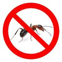 Средство от муравьев, клопов и др насекомых