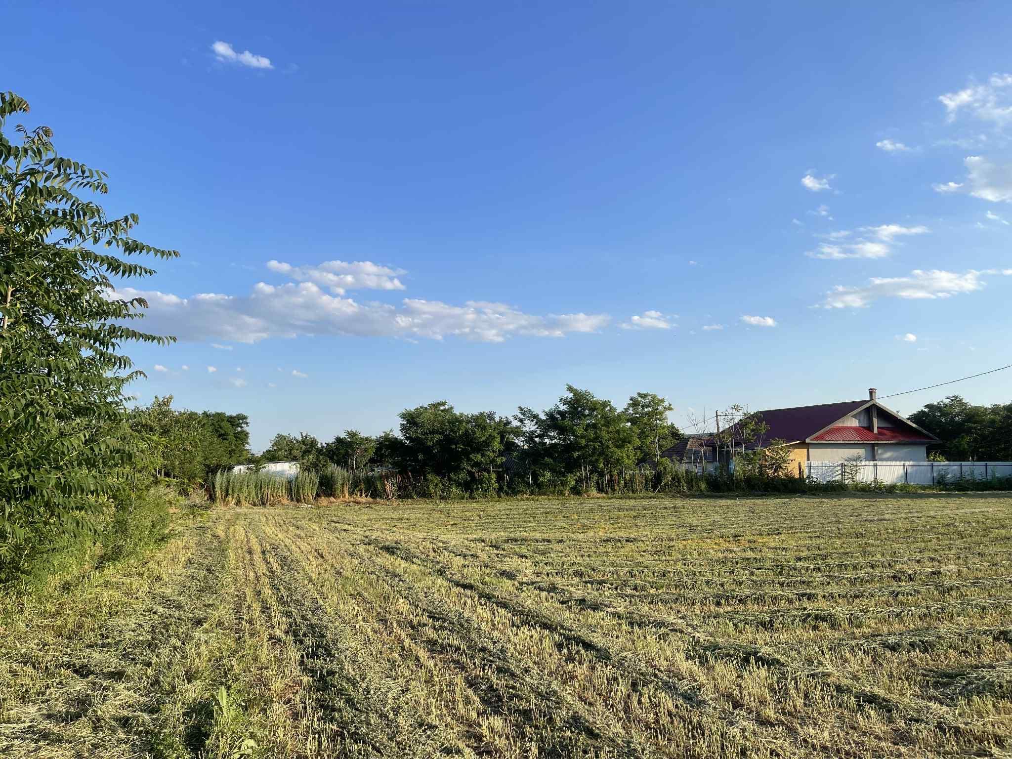 Teren intravilan 2.100 mp, Lunca Banului – cu acces direct din drum!